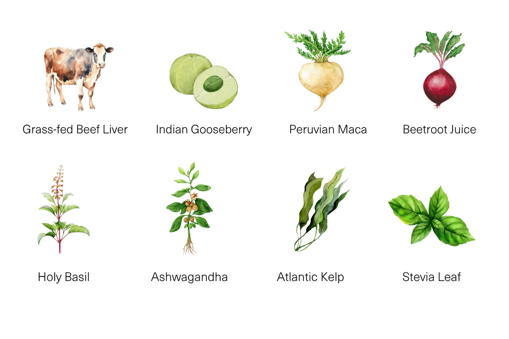 Wholefood vs Synthetic Supplements: Understanding the Difference