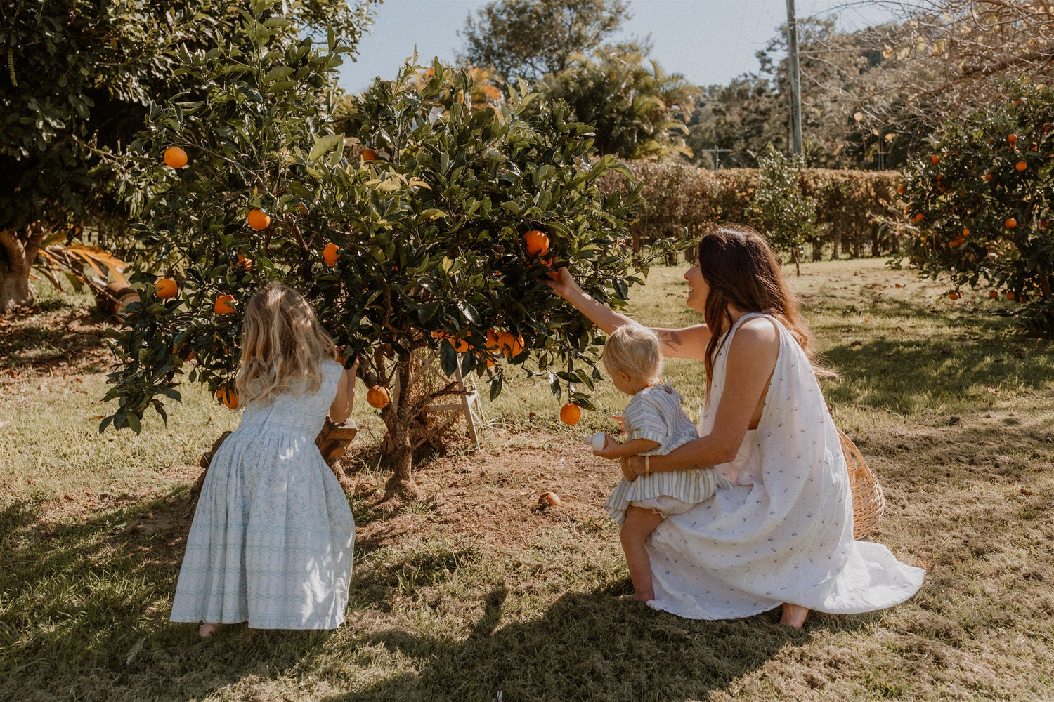 Nourishment for the Motherhood Season